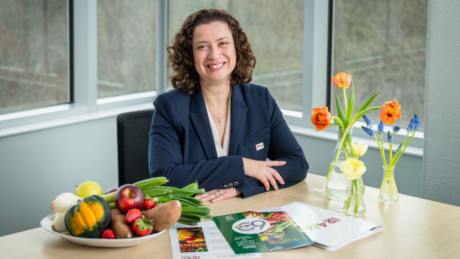 Lina Quesada-Ocampo IR-4 Project Web