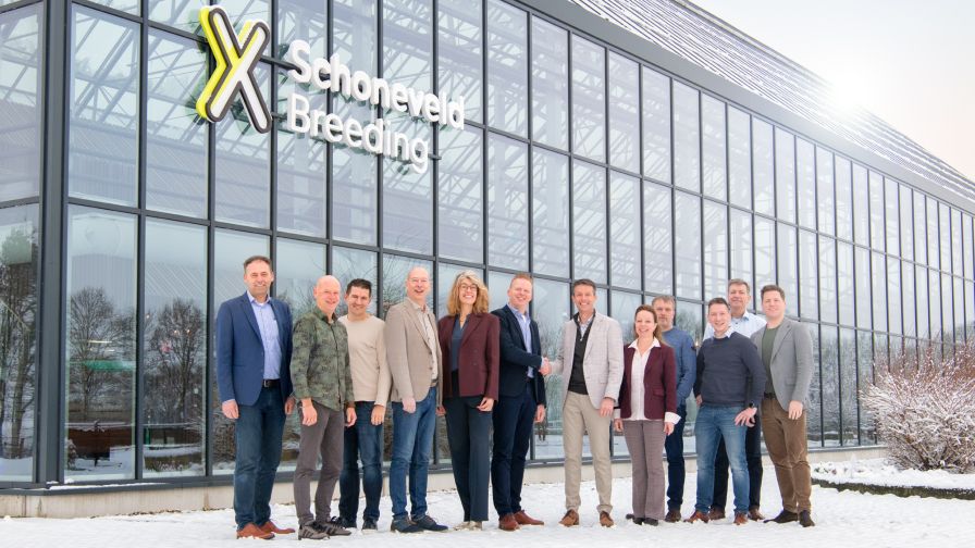 Schoneveld Breeding and De Groot en Slot photo.