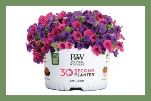 30-Second Planters are 10-inch, pre-planted container "recipes" that help to provide the easy pairing of compatible plants and almost instant planting.