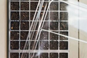 The Propagation Kit pairs industry-standard black propagation trays with a uniquely designed dome with ribbing that keeps water from pooling in the center.