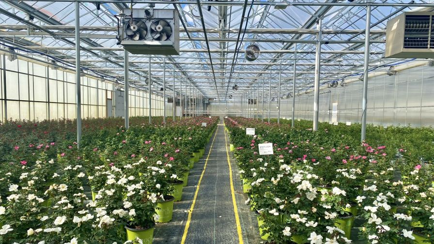 The soft launch of Midwest Groundcovers’ new ERP system last fall helped it make the necessary adjustments before spring hits.