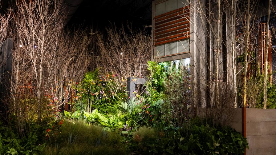 The "The Unseen Palette" exhibit from Mark Cook Landscape & Contracting, the winner of the PHS Philadelphia Flower Show Cup for Best in Show — Landscape.