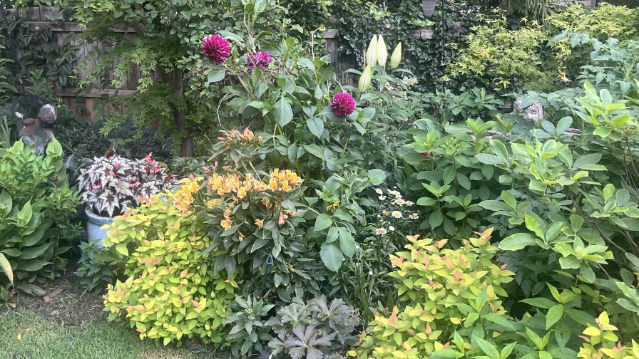 A residential garden featuring a diverse mix of bulbs, annuals, perennials, and shrubs.