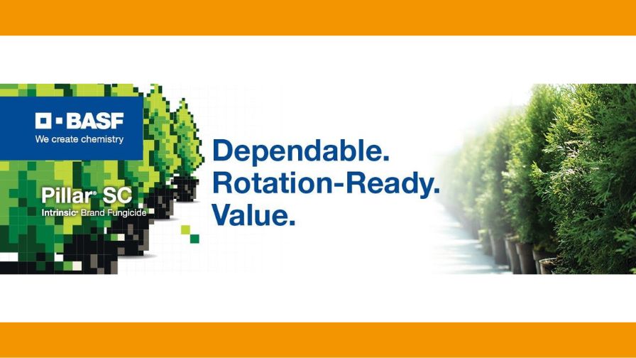 Graphic for Pillar® SC Intrinsic® brand fungicide.