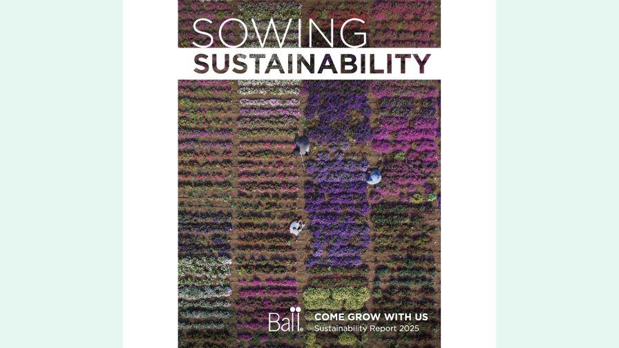 The cover to the "Sowing Sustainability" report.
