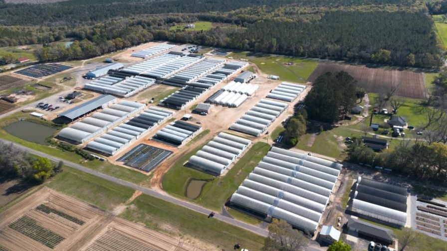 Emerald Coast Growers