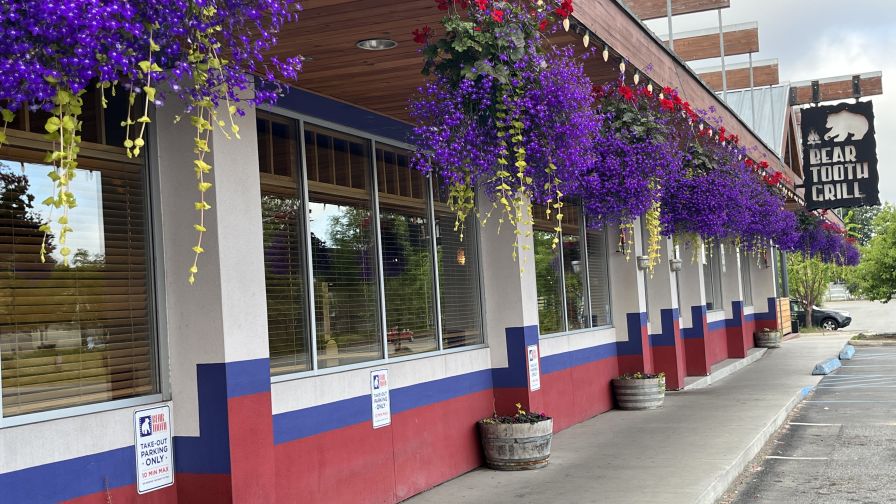 Lobelias and geraniums provide seasonal color in a commercial landscape planting.