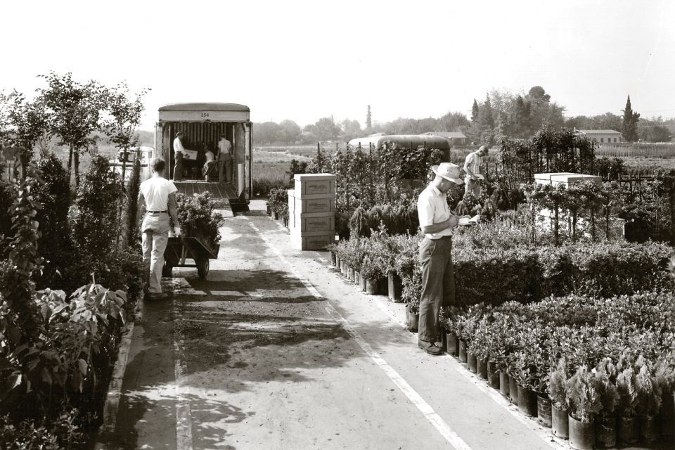 Monrovia shipping operations in the 1950s.